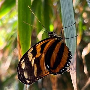 Meet your Posher, Natalia